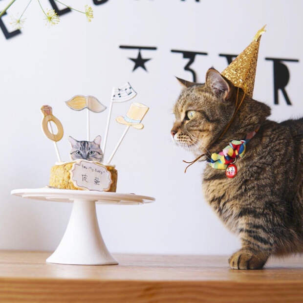 M6gekPKwhHs (700x700, 320Kb)