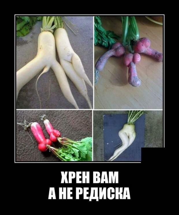Демотиваторы 28 сентября 2021 года