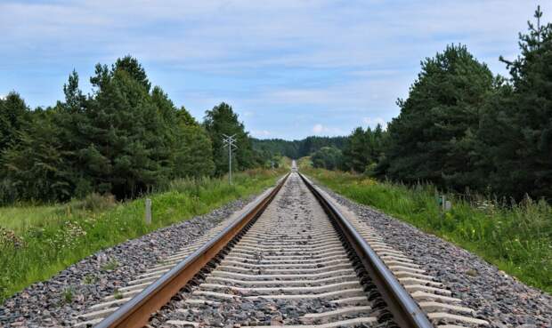 Дополнительные пассажирские поезда на юг будут курсировать через Рязань в летнее время