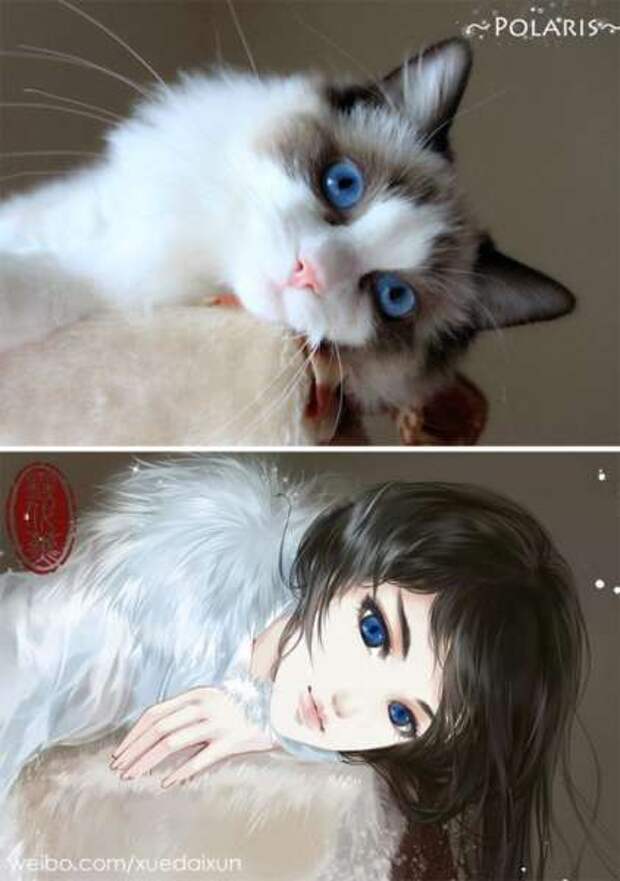 Китайская художница превращает котиков и других зверушек в людей, и это невероятно