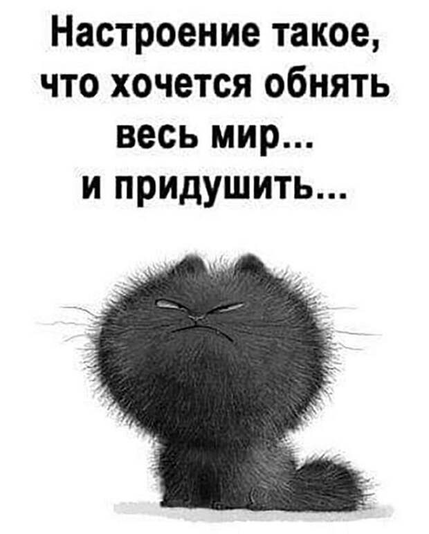 Подборка супер смешных картинок и мемов