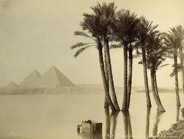 Древние чудеса Египта и его жители в 1800-х годах на фотографиях братьев Зангаки