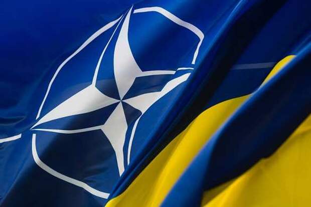 Газовый конфликт: Венгрия будет блокировать вступление Украины в НАТО | Русская весна