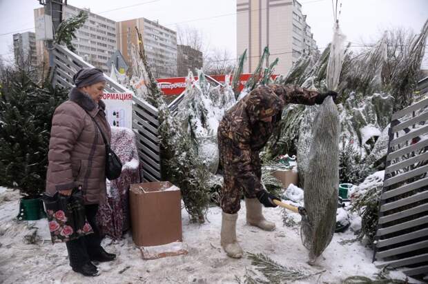 анонс
