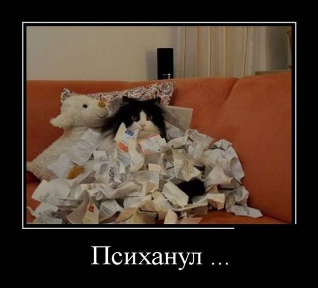 www.vsyako.net