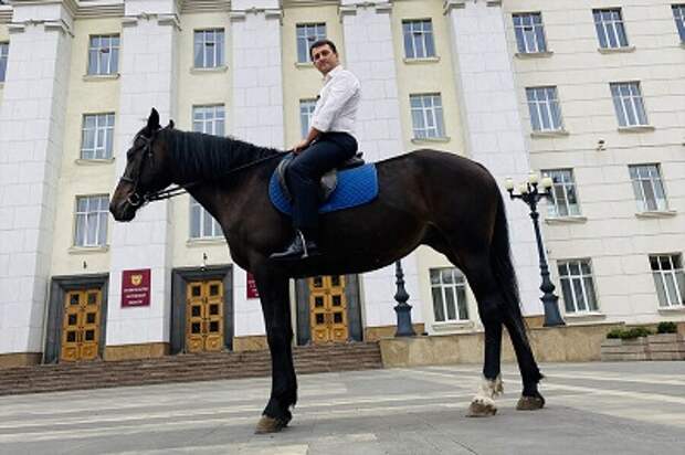 Ростовский депутат решил в прямом смысле слова быть на коне