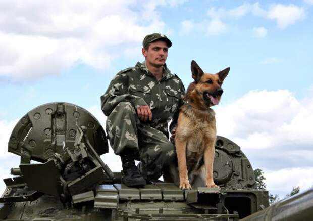 http://animal.ru/i/upload/132981040268.jpg