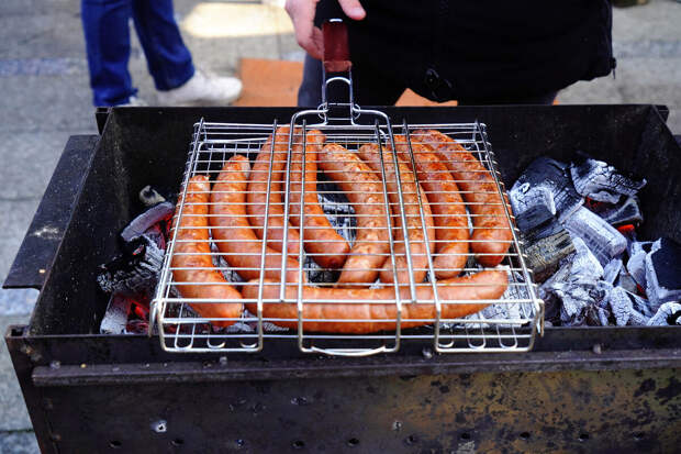 Депутат Милонов предложил запретить одноразовые мангалы в России