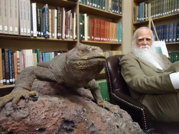 18. Чарльз Дарвин очень любил блюда из экзотических животных викторианская, викторианская Англия, викторианская эпоха, интересные факты, поразительно, странные вещи, факты