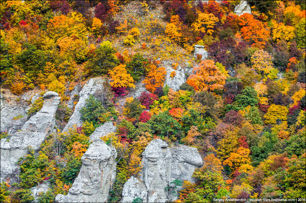 Осень в Крыму Осень в Крыму