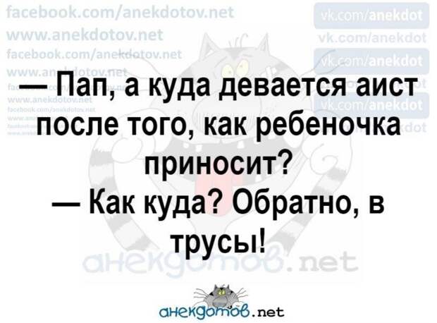 Анекдоты - лучшее от "анекдотовнет" Анекдоты - лучшее от "анекдотовнет"