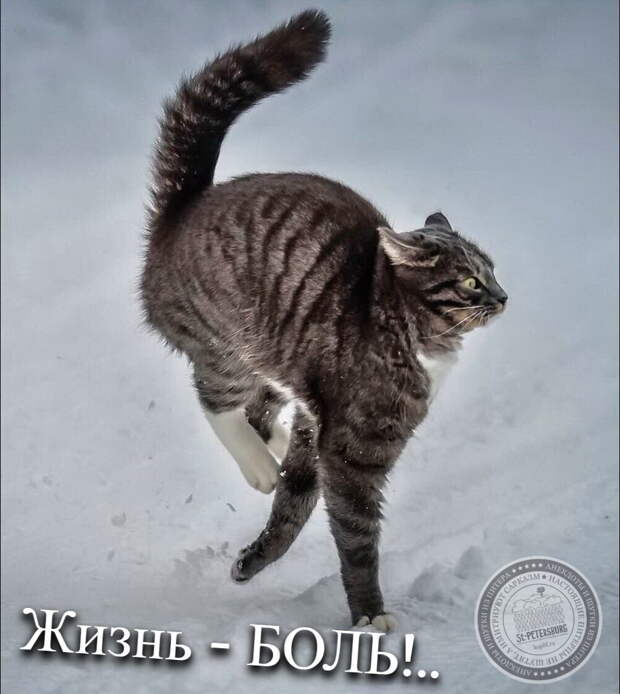 Жизнь - БОЛЬ!