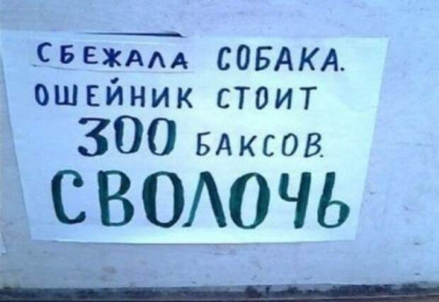 17246960-R3L8T8D-650-8c00840b535814797b0abdac3ff68248