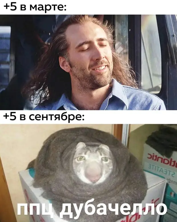– Ну и как первая брачная ночь? – Не помню! Я сознание потерял уже после того, как она ресницы отклеила – Ну и как первая брачная ночь? – Не помню! Я сознание потерял уже после того, как она ресницы отклеила только, быстро, карты, забыл , пролетает, проигрывает, жизнь, время, ездить, россиянином, Мерседесе, владеть, некоторым, недвижимостью, вамиХотелось, такие, точно, дебилы, оправдания, повод