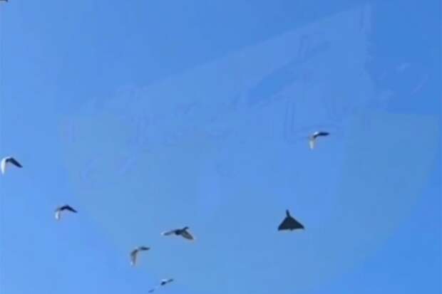 Украинец снял, как «Герань-матушка» запускает FPV-дрон