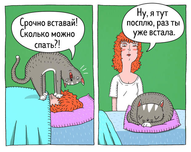 14 комиксов о том, что коты — самые противоречивые создания на планете