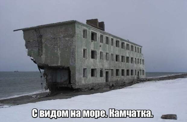 Смешные картинки с подписями 