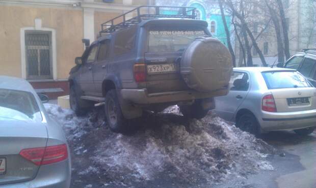 Собачий холод! Поймет тот, кто водит зимой  зима, прикол, снег, юмор