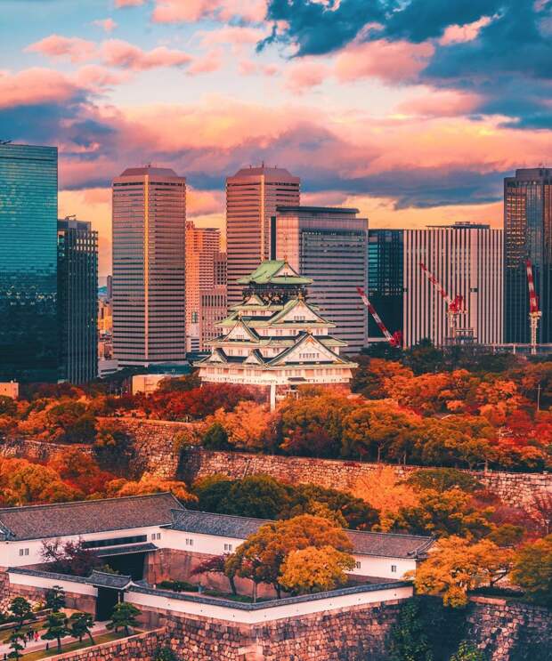 Как бьется сердце Большого Токио: яркая Япония в фотографиях Наохиро Яко