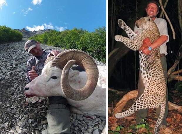Ветеринар, который любил охотиться и выкладывать снимки с убитыми им животными, сорвался со скалы и погиб