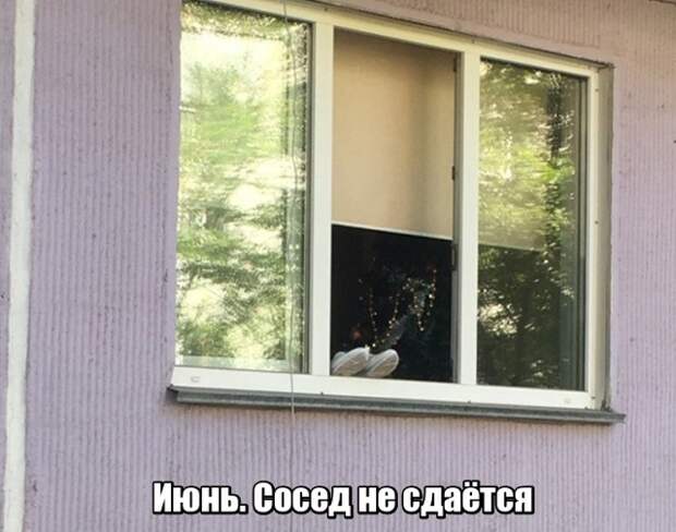 Соседи сдают. Сосед не сдаст.