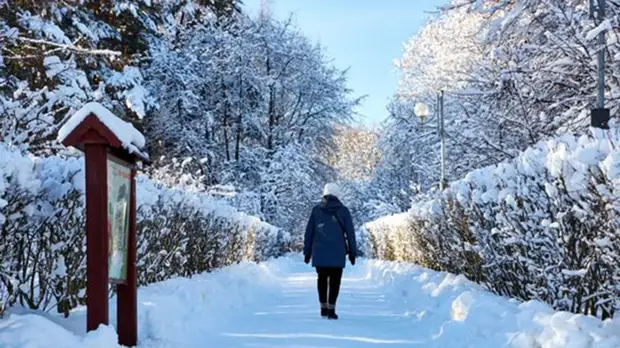 Площадь парков в Даниловском районе Москвы выросла в три раза