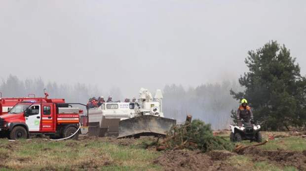 В Подмосковье усиливают меры по предотвращению лесных пожаров