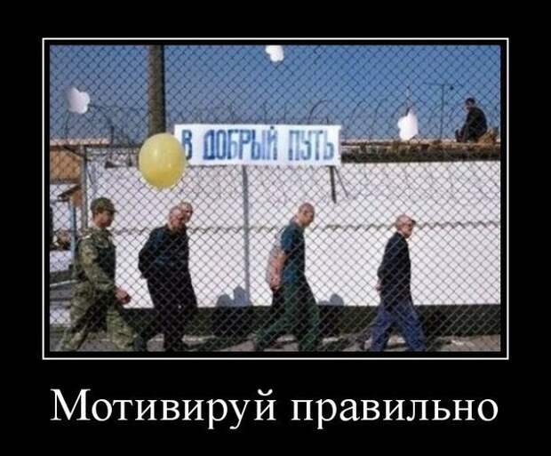 Демотиваторы (30 фото)
