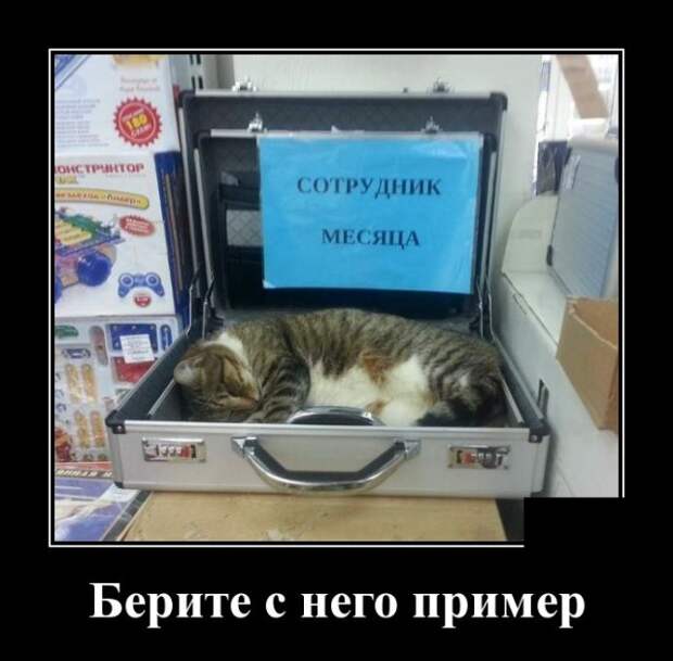 Забавные и прикольные демотиваторы для хорошего настроения