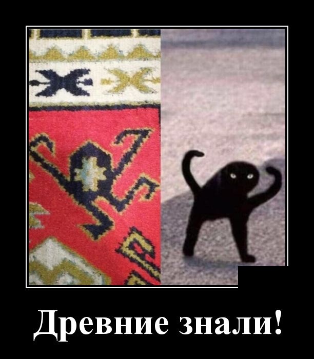 Демотиваторы (30 фото)