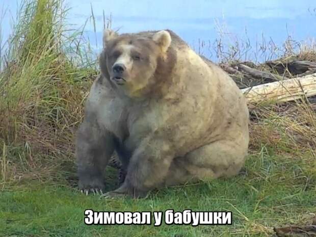 www.vsyako.net