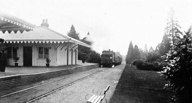 Поезд с катафалками, фото 1907 года