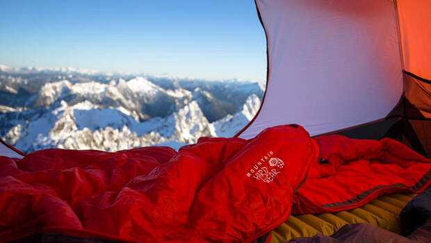 Фото: newscentral.exsees.com