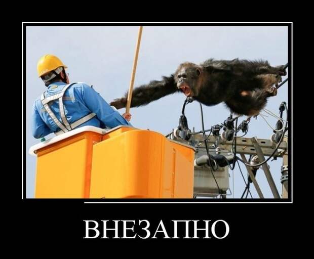 Демотиваторы