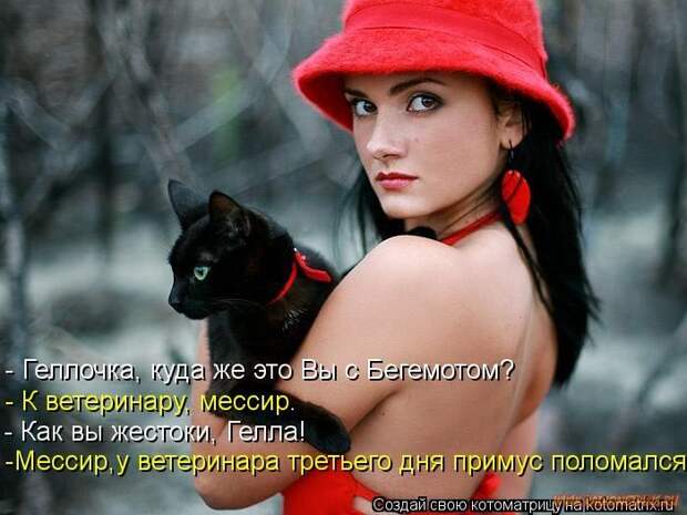 Уфф!!! Ну наконец-то! Котоматрицы великолепные, каждая с улыбкой и хорошим настроением!