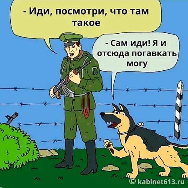 Вот как оно бывает