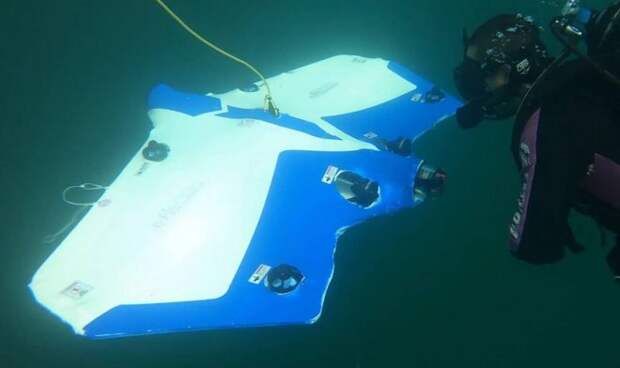 Подводный дрон SeaSearcher поможет искателям затонувших сокровищ