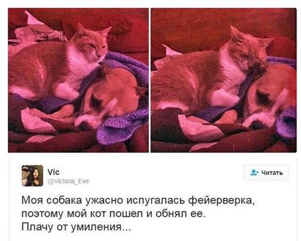 Поймал снова Старик золотую рыбку) Поймал снова Старик золотую рыбку)