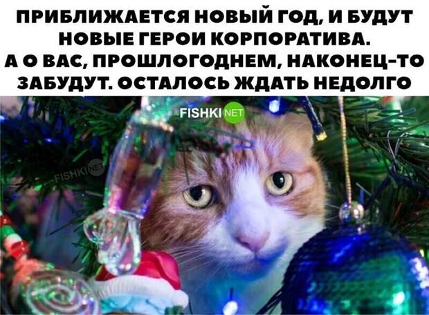 3. Так вот почему многие люди ждут этот корпоратив 3. Так вот почему многие люди ждут этот корпоратив