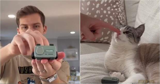 Американец придумал телефон для кошек, чтобы наблюдать за ними