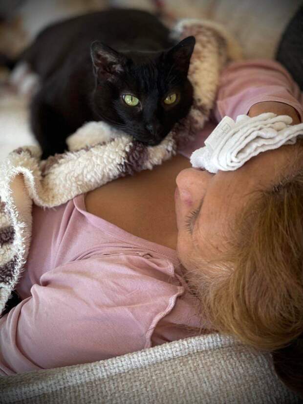 Снимки чёрных котов, которые приносят в дом только радость и веселье