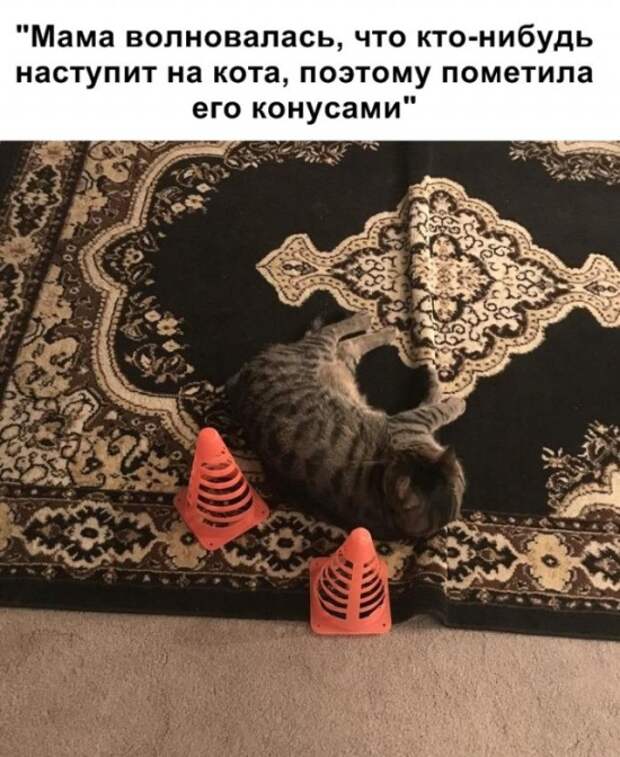 www.vsyako.net
