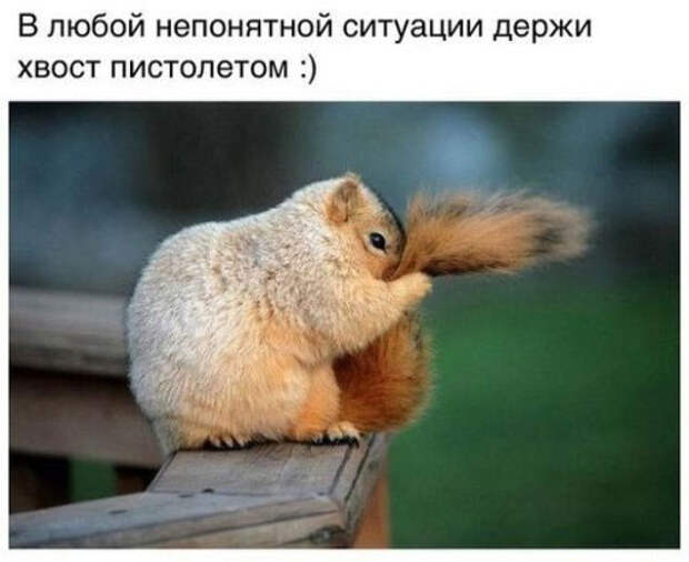 ПРИКОЛЬНЫЕ КАРТИНКИ С НАДПИСЯМИ