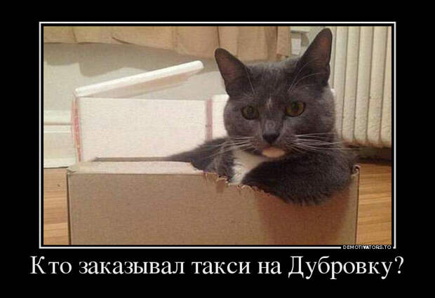 Кто заказывал такси на Дубровку? демотиватор, юмор