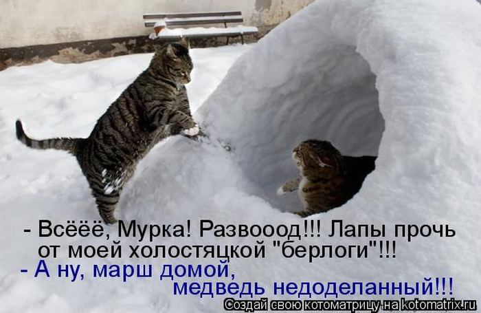 Мысли вслух :)