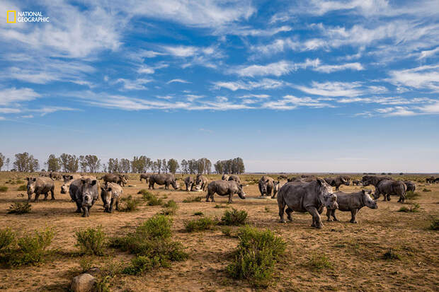 best-photos-2016-natgeo-national-geographic-89