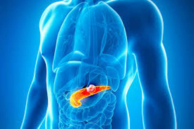 Показания и противопоказания проведения магнитно-резонансной томографии (МРТ) поджелудочной железы