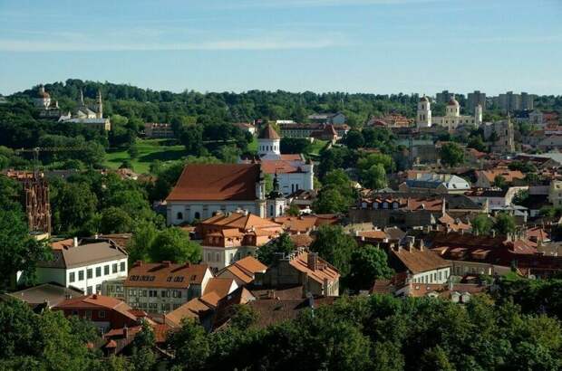 В Литве одобрили идею лишать россиян ВНЖ за частые поездки в РФ
