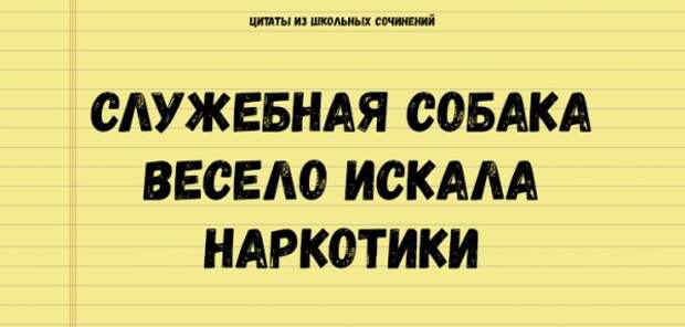 Цитаты из школьных сочинений, которые стоит сохранить для потомков