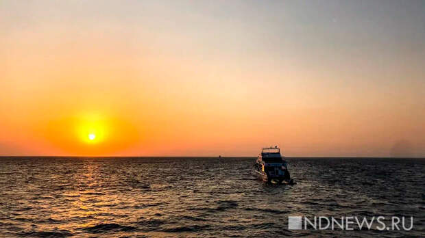 Отелям в Дубае поручили продлить проживание туристов из-за отмены рейсов